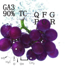 Ga 3 Regulador de crecimiento de la planta de ácido Gibberellic 90% Tc